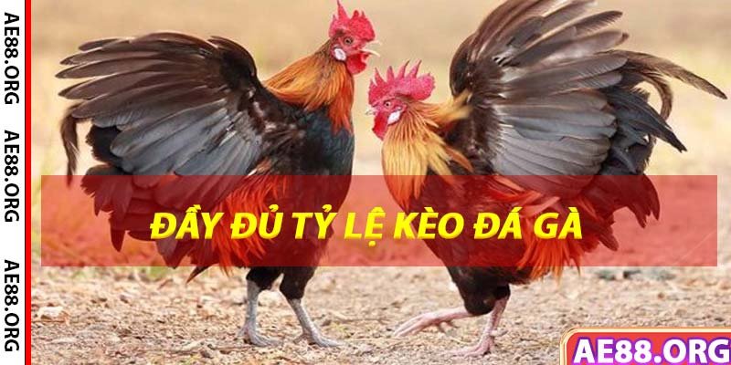 Cập nhật các tỷ lệ kèo phổ biến nhất hiện nay