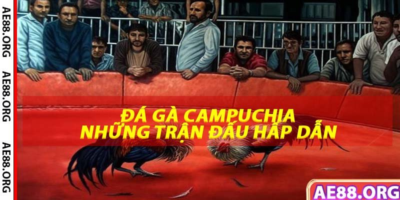 Khám Phá Đá Gà Campuchia Những Trận Đấu Hấp Dẫn 2024