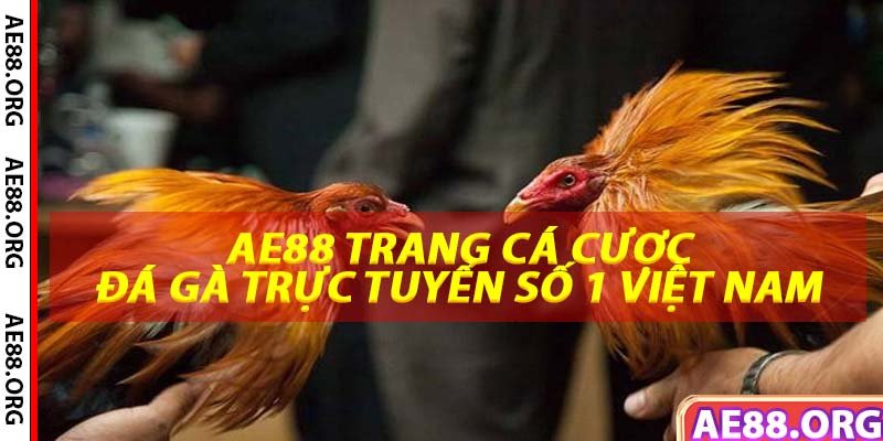 AE88 Trang Cá Cược Đá Gà Trực Tuyến Số 1 Việt Nam